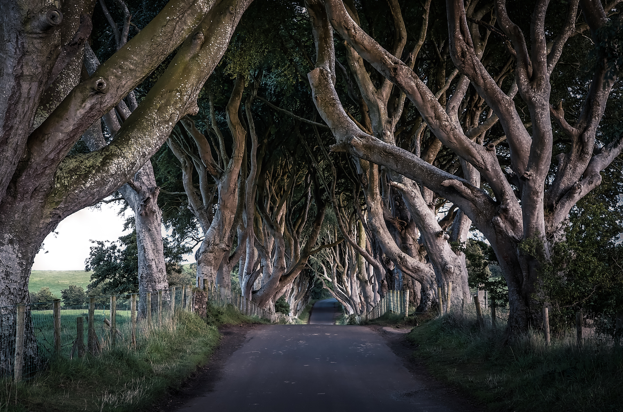 images-of-harry-antrim